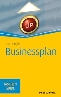 Businessplan - Axel Singler - ebook