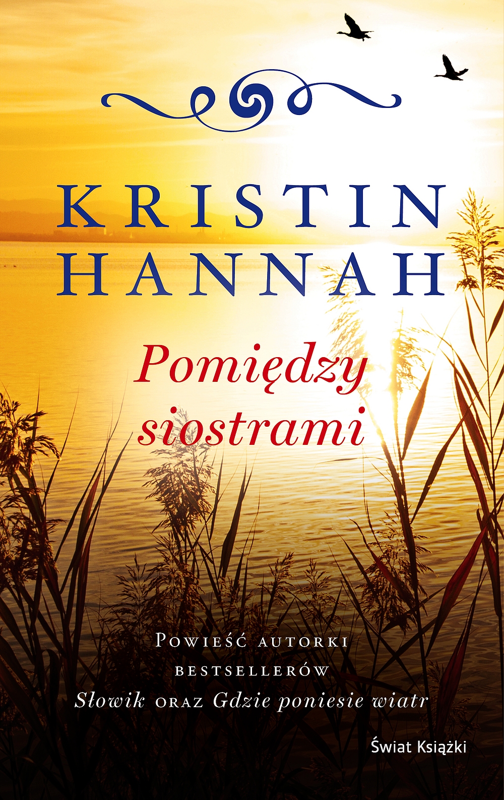 Pomiędzy siostrami (edycja kolekcjonerska) - Kristin Hannah - książka