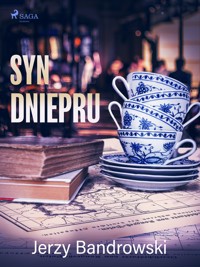Syn Dniepru - Jerzy Bandrowski - ebook
