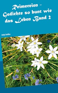 Reimereien - Gedichte so bunt wie das Leben Band 2 - Antje Steffen - ebook