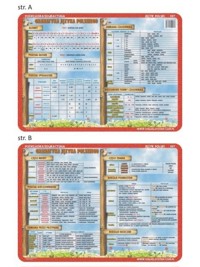Podkładka edukacyjna 007 - Język Polski. Gramatyka Języka Polskiego -  - książka