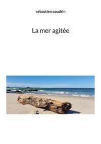 La mer agitée - Sébastien Coudrin - ebook
