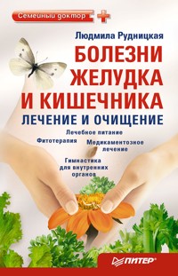 Болезни желудка и кишечника: лечение и очищение - Рудницкая Людмила - ebook