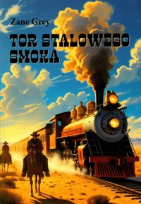 Tor Stalowego Smoka - Grey Zane - książka