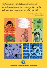 Reflexiones multidisciplinarias de académicas sobre la disrupción de la educación superior por el Covid-19 - María Luisa Arzola López - ebook