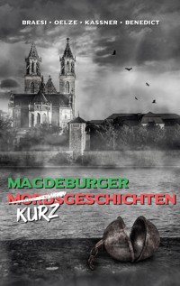 Magdeburger (Mords) Kurzgeschichten finster bis heiter - Sylvie Braesi - ebook