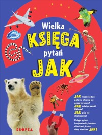 Wielka księga pytań jak - Symes Sally, Taylor Saranne - książka