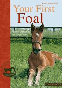 Your First Foal - Karin Kattwinkel - ebook
