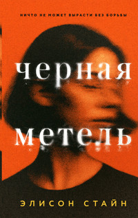Черная метель - Элисон Стайн - ebook