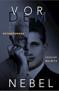 Vor dem Nebel - Eberhard Malwitz - ebook