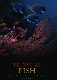 Tropical Fish - Alderton David - książka