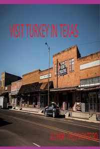 Visit Turkey In Texas! - Theobaldo Veira Monteiro - ebook