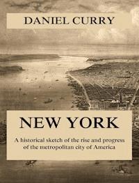 New York - Daniel Curry - ebook