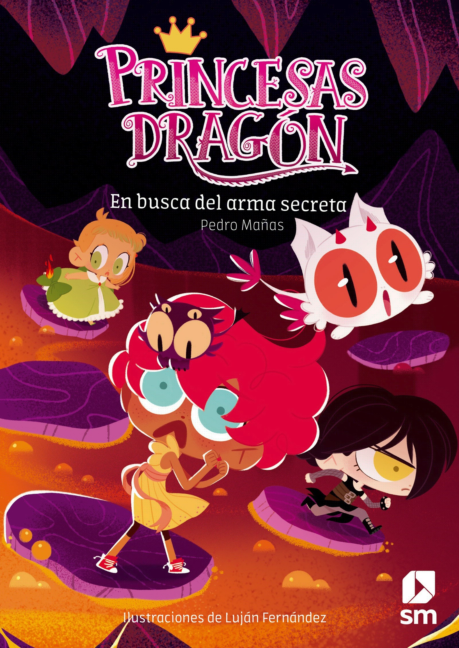 Princesas Dragón 13: En busca del arma secreta
