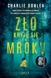 Zło kryje się w mroku - Charlie Donlea - książka