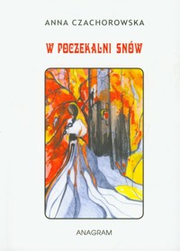 W poczekalni snów - Czachorowska Anna - książka