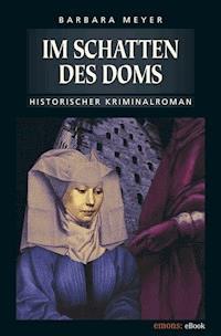 Im Schatten des Doms - Barbara Meyer - ebook