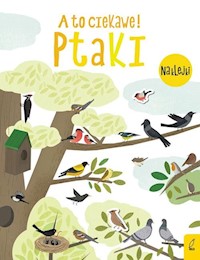 A to ciekawe! Ptaki -  - książka