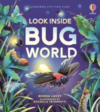Look Inside Bug World - Lacey Minna - książka