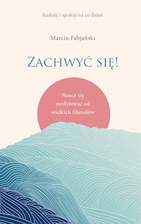 Zachwyć się! - Marcin Fabjański - książka