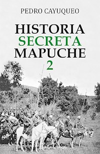 Historia secreta mapuche 2 - Pedro Cayuqueo - ebook