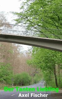 Der Tanten Liebling - Axel Fischer - ebook