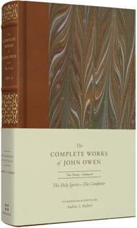 The Holy Spirit-The Comforter - John Owen - ebook
