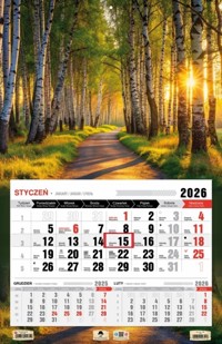 Kalendarz 2026 jednodzielny 3XL - Las -  - książka