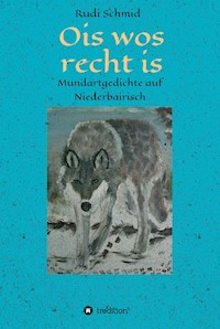 Ois wos recht is - Rudi Schmid - ebook