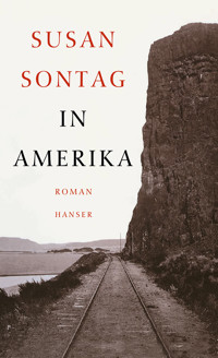 In Amerika - Sontag Susan - ebook