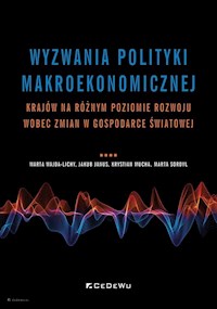 Wyzwania polityki makroekonomicznej - Wajda-Lichy Marta, Janus Jakub, Mucha Krystian, Sordyl Marta - książka