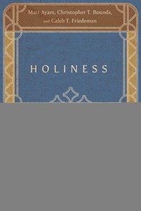 Holiness - Matthew Ian Ayars - ebook