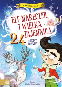 Elf Mareczek i wielka tajemnica. 24 godziny do Świąt - Marcin Malec - książka