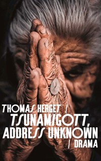 Tsunamigott, address unknown - Thomas Herget - ebook