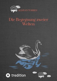 Die Begegnung zweier Welten - Aldivan Torres - ebook