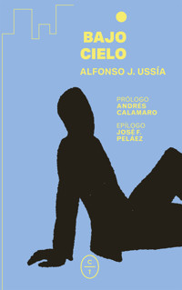 Bajo cielo - Alfonso J. Ussía - ebook