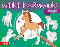 Wielkie kolorowanki Kucyki -  - książka