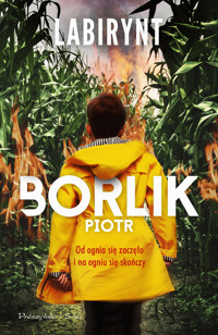 Labirynt - Piotr Borlik - ebook + audiobook + książka