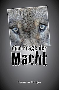 Eine Frage der Macht - Hermann Brünjes - ebook