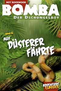 Bomba auf düsterer Fährte - Roy Rockwood - ebook