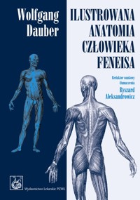 Ilustrowana anatomia człowieka Feneisa - Dauber Wolfgang - książka