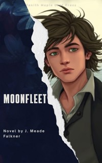 Moonfleet - J. Meade Falkner - ebook