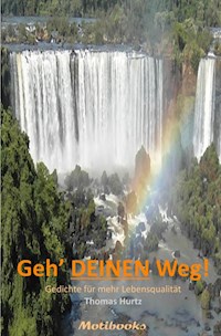 Geh' Deinen Weg - Thomas Hurtz - ebook