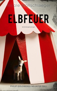 Elbfeuer - Nicole Wollschlaeger - ebook