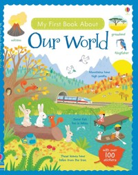 My First Book About Our World - Young Caroline, Brooks Felicity - książka