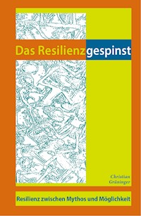 Das Resilienzgespinst - Christian Grüninger - ebook