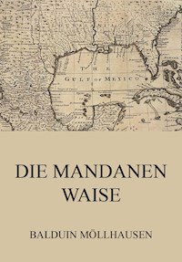 Die Mandanenwaise - Balduin Möllhausen - ebook