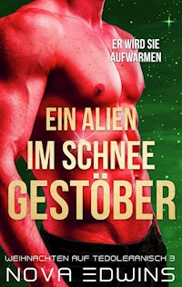 Ein Alien im Schneegestöber - Nova Edwins - ebook