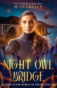 Night Owl Bridge - Seana Kelly - ebook