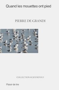 Quand les mouettes ont pied - Pierre De Grandi - ebook